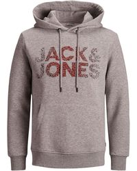 uo rare breed washed grey hoodie