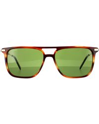 Ferragamo - Square Striped Brown Solid Green Sunglasses - Lyst
