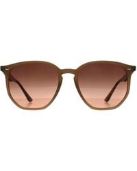Ray-Ban - Round Polished Turtledove Gradient Rb4306 - Lyst
