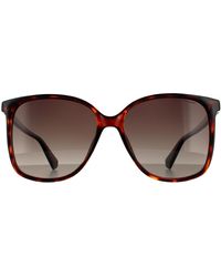 Polaroid - Fashion Dark Havana Brown Shaded Polarized Sunglasses - Lyst