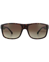 Police - Rectangle Matte Dark Havana Smoke Brown Gradient Sunglasses - Lyst