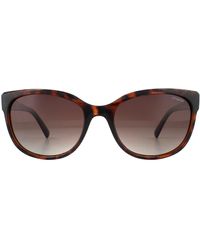 Polaroid - Cat Eye Dark Havana Glitter Brown Gradient Polarized Sunglasses - Lyst