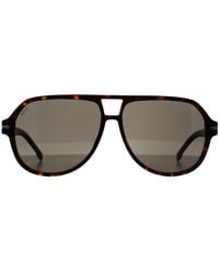 BOSS - Aviator Dark Havana Boss 1507/S - Lyst