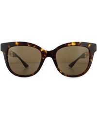 Versace - Cat Eye Havana Dark Brown Sunglasses - Lyst
