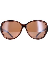 Ted Baker - Oval Havana Brown Flower Print Brown Tb1394 Shay - Lyst