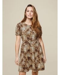 Dorothy Perkins - Animal Print Short Sleeve Cotton Elastane Fit And Flare Dress With Side Pockets. - Lyst