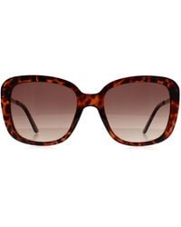 Guess - Butterfly Dark Havana Gradient Gf6138 - Lyst