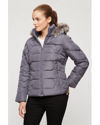Dorothy Perkins - Taupe Short Hooded Padded Coat - Lyst