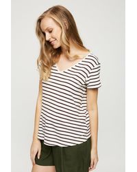 Dorothy Perkins - Maternity White Stripe V Neck Relaxed T-shirt - Lyst