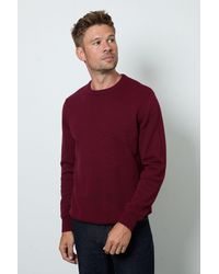 MAINE - Premium Pure Cotton Crew Neck Jumper - Lyst