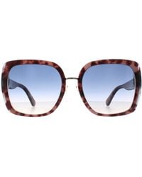 Kate Spade - Butterfly Havana Gradient Kimber/G/S - Lyst