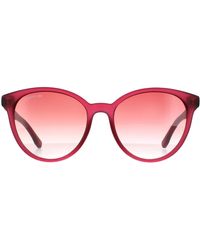 Lacoste - Round Transparent Cyclamen Pink Gradient Sunglasses - Lyst