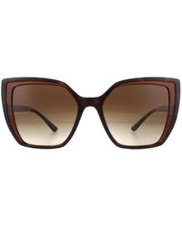 Dolce & Gabbana - Square Havana On Transparent Brown Brown Gradient Sunglasses - Lyst
