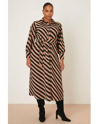 Dorothy Perkins - Curve Camel Stripe Shirt Dress - Lyst