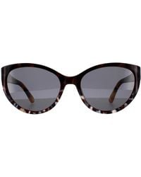 Moschino - Cat Eye Animal Havana Grey Sunglasses - Lyst