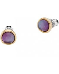 Skagen - Purple Sea Glass Two Tone Rose Silver Stainless Steel Stud Earrings Skj1686710 - Lyst