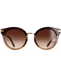 Dolce & Gabbana - Round Havana Transparent Brown Brown Gradient Dg4394 Sunglasses - Lyst