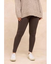 Evans - Cotton Stretch Leggings - Lyst