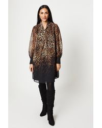 Wallis - Petite Leopard Print Pussy Bow Shift Dress - Lyst