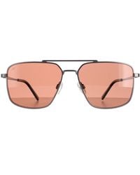 Serengeti - Aviator Matte Gunmetal Saturn Polarized Sedona Aitkin - Lyst
