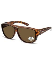 Montana - Aviator Matte Tortoise Polarized Fo6 - Lyst