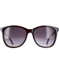 Ted Baker - Oval Tortoiseshell Gradient Tb1496 Alva - Lyst