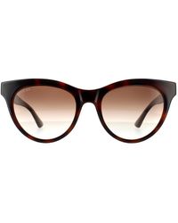 Gucci - Cat Eye Havana Brown Gradient Sunglasses - Lyst