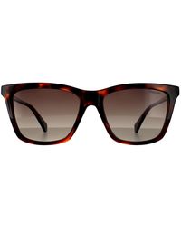 Polaroid - Square Havana Brown Gradient Polarized 90041091 - Lyst