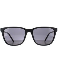 Calvin Klein - Butterfly Black Grey Gradient Ck20518s Sunglasses - Lyst