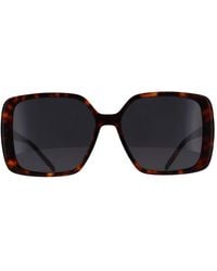 BOSS - Square Dark Havana Boss 1939/G/S - Lyst