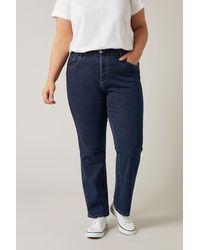 Evans - Straight Leg Jeans - Lyst