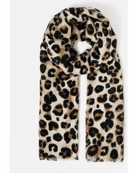 Accessorize - 'lucille' Leopard Blanket Scarf - Lyst