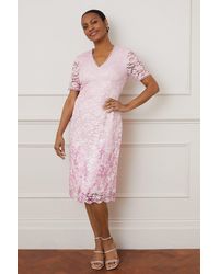 Wallis - Printed Lace Short Sleeve Midi Dress - Lyst