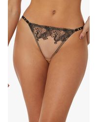 Playful Promises - Tiger Mesh Embroidered Brief - Lyst