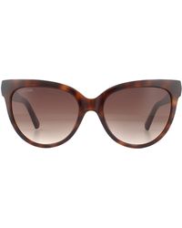 Swarovski - Cat Eye Dark Havana Brown Gradient Sunglasses - Lyst