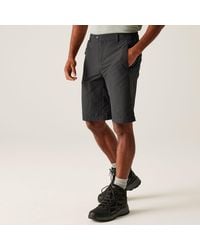 Regatta - Highton Long Walking Shorts - Lyst