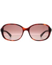 Kate Spade - Butterfly Shiny Dark Havana Gradient Izabella/G/S - Lyst