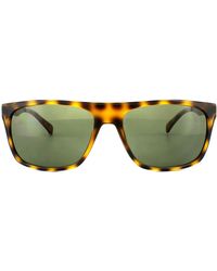 Calvin Klein - Square Warm Tortoise Grey Sunglasses - Lyst