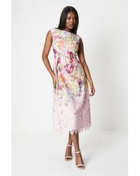 Coast - Printed Lace Sleeveless Midi Dress - Lyst