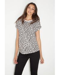 Dorothy Perkins - Maternity 3 Pack Roll Sleeve T-shirts - Lyst