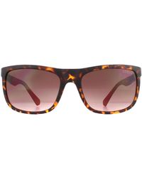Guess - Rectangle Dark Havana Brown Gradient Sunglasses - Lyst