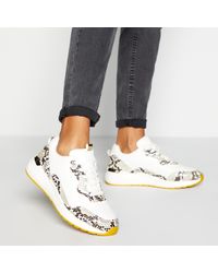 debenhams nike trainers