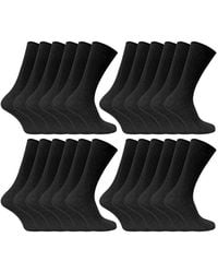 Sock Snob - 24 Pairs Multipack Ultimate Comfort 100% Cotton Socks - Lyst