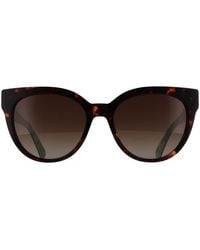 Kate Spade - Cat Eye Havana Gradient Polarized Javana/G/S - Lyst