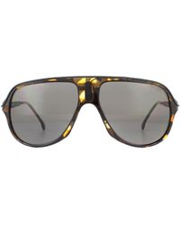 Carrera - Aviator Havana Grey Polarized Safari 65 Sunglasses - Lyst