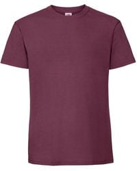Fruit Of The Loom - Ringspun Premium T-Shirt - Lyst