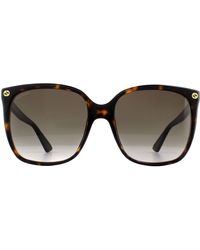 Gucci - Cat Eye Havana Grey Gradient Sunglasses - Lyst