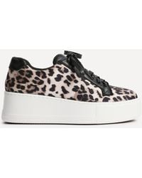 Linzi - Twyla Leopard Print Trainers - Lyst