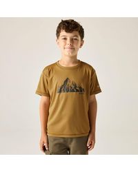 Regatta - Alvarado Short Sleeved Graphic T-Shirt - Lyst