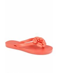 Spot on - Flower Detail Toe Post Flip Flop Sandals - Lyst